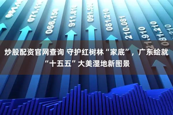 炒股配资官网查询 守护红树林“家底”，广东绘就“十五五”大美湿地新图景